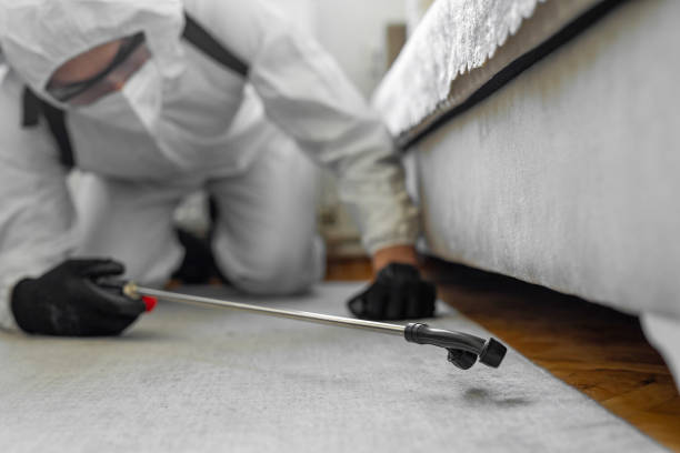Professional Ant Control technician working in Forest Meadows, CA