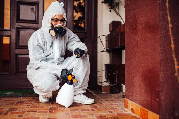 Reliable Ant Control contractor in Forest Meadows, CA by Nex Pest Control